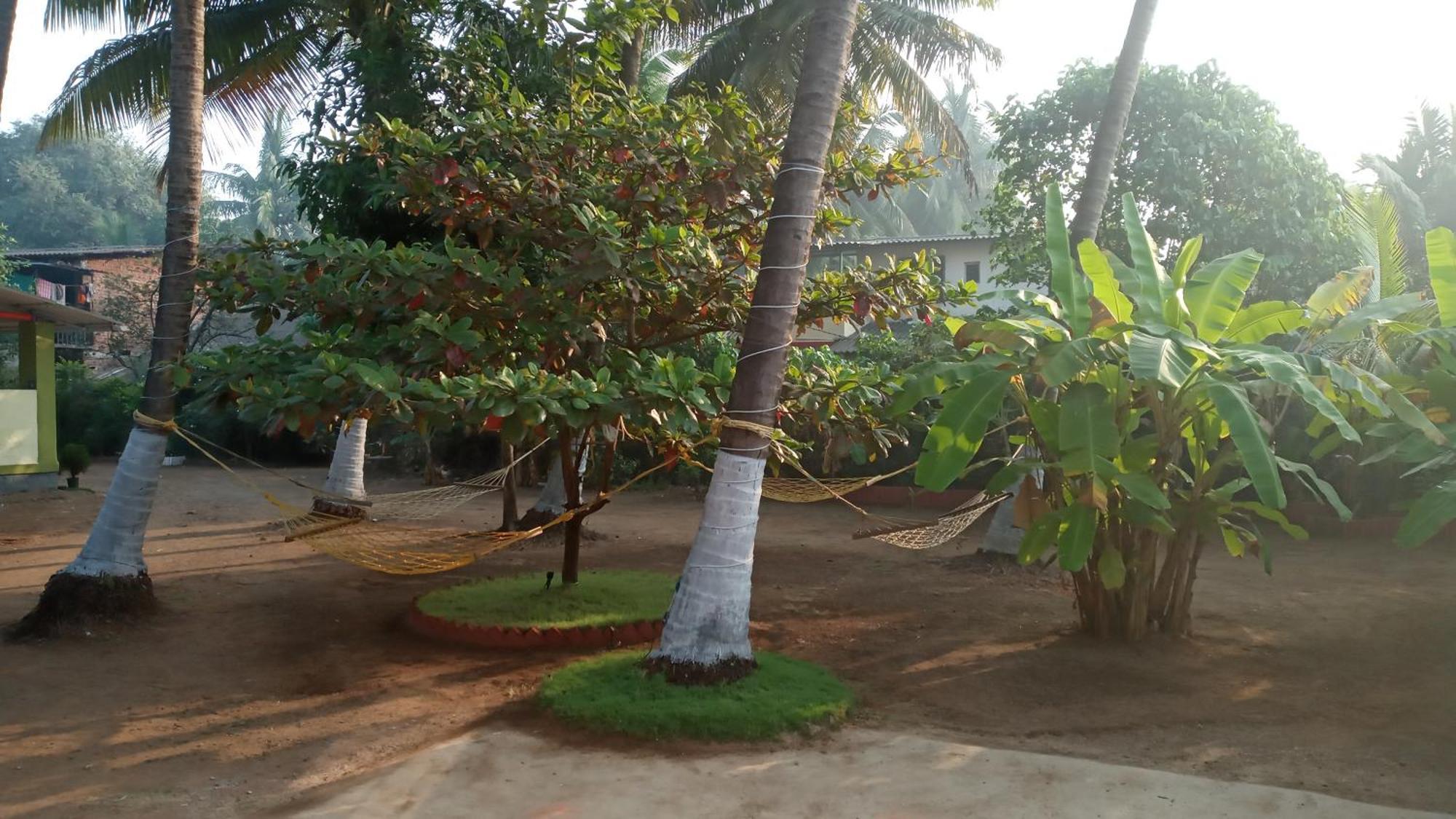 Coconut Village Resort Alibag Luaran gambar